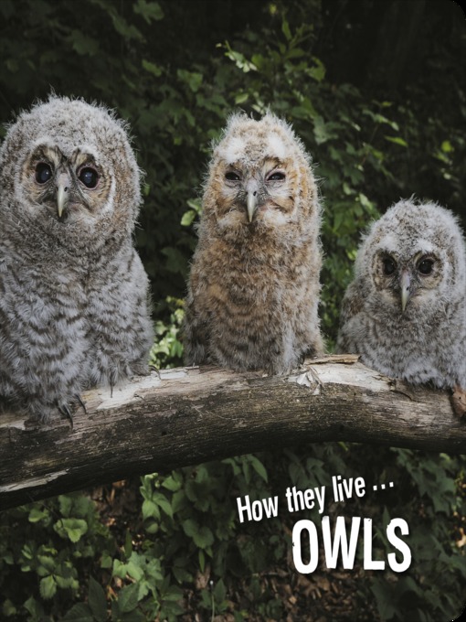Title details for How they live... Owls by David Withrington - Available